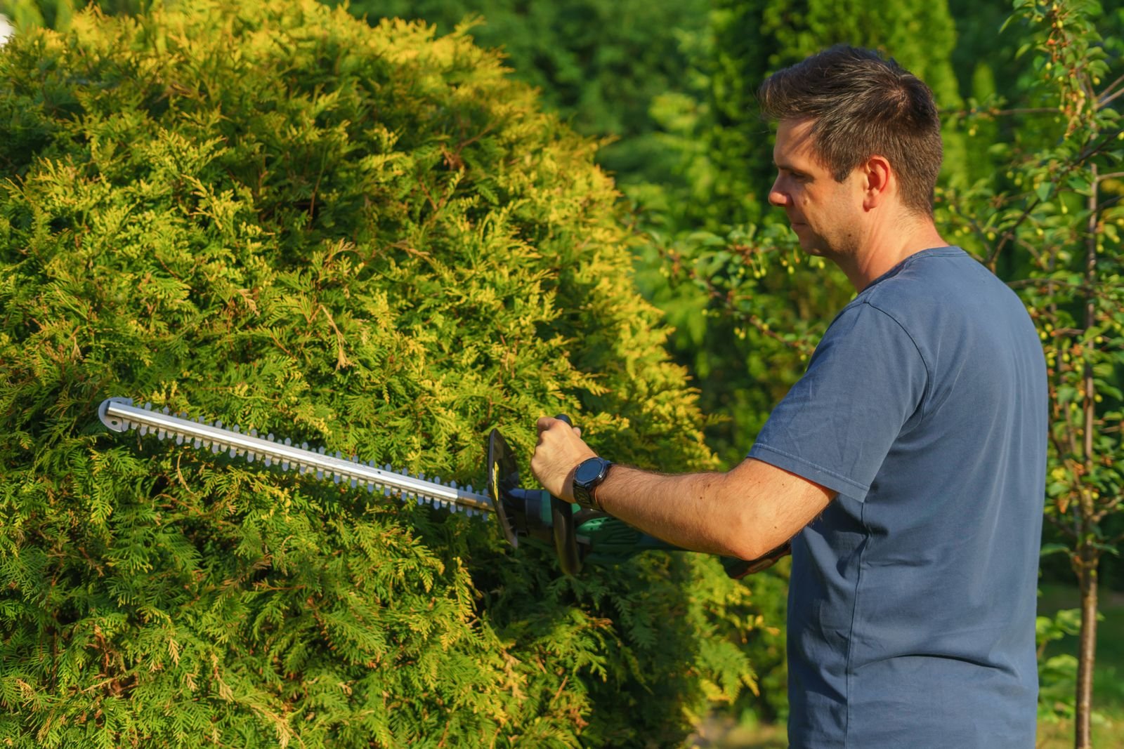 Gardening & Yard Care service inspiration